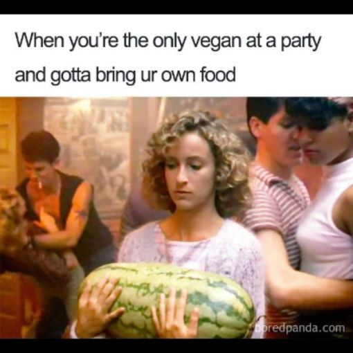 https://memesbams.com/vegan-memes/